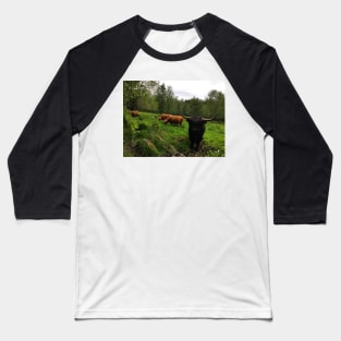 Scottish Highland Cattle Cows and Bull 2412 Baseball T-Shirt